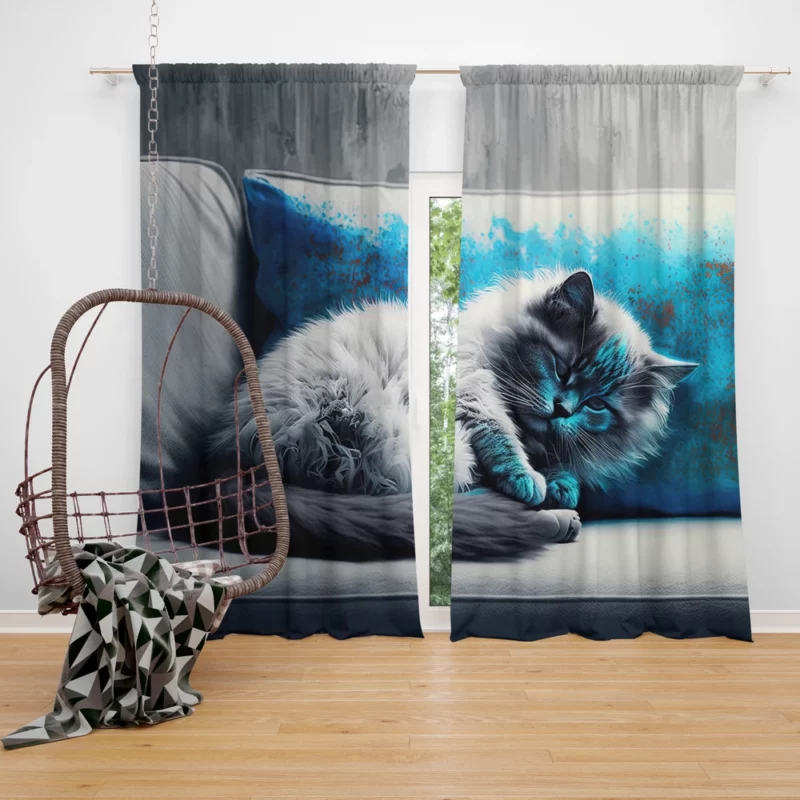 Blue-Eyed Sleeping Cat on Grey Couch Window Curtain