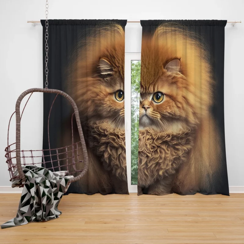 Fluffy Faced Cat on Dark Background Window Curtain