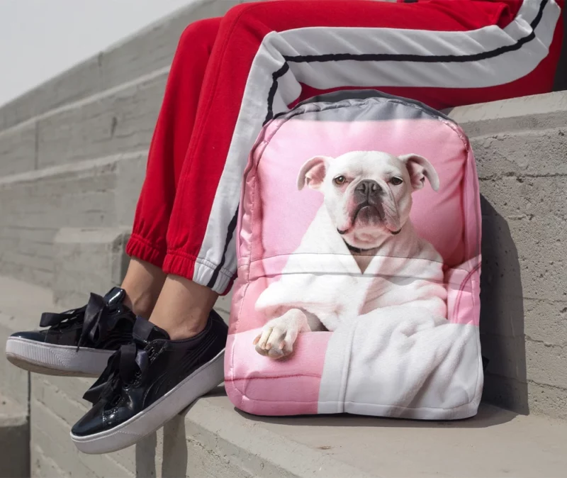 Pink Armchair Dog Spa Backpack 1
