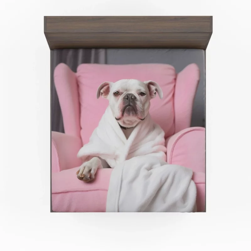 Pink Armchair Dog Spa Fitted Sheet