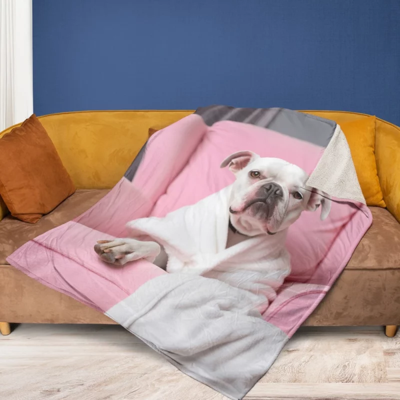 Pink Armchair Dog Spa Fleece Blanket 1