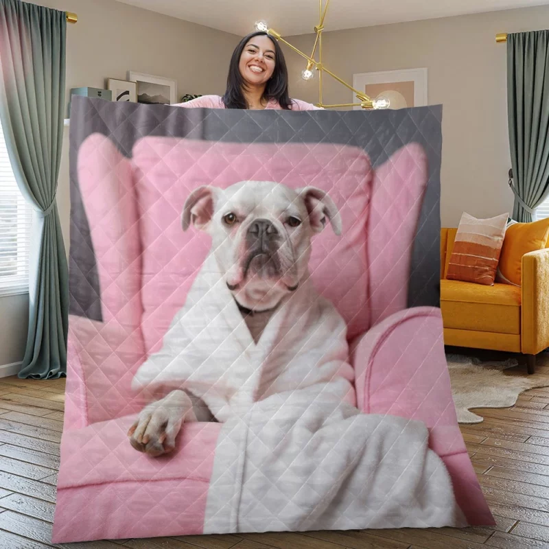 Pink Armchair Dog Spa Quilt Blanket