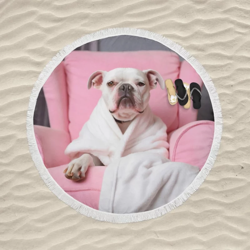 Pink Armchair Dog Spa Round Beach Towel