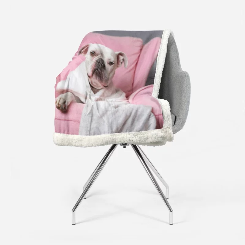 Pink Armchair Dog Spa Sherpa Fleece Blanket 1