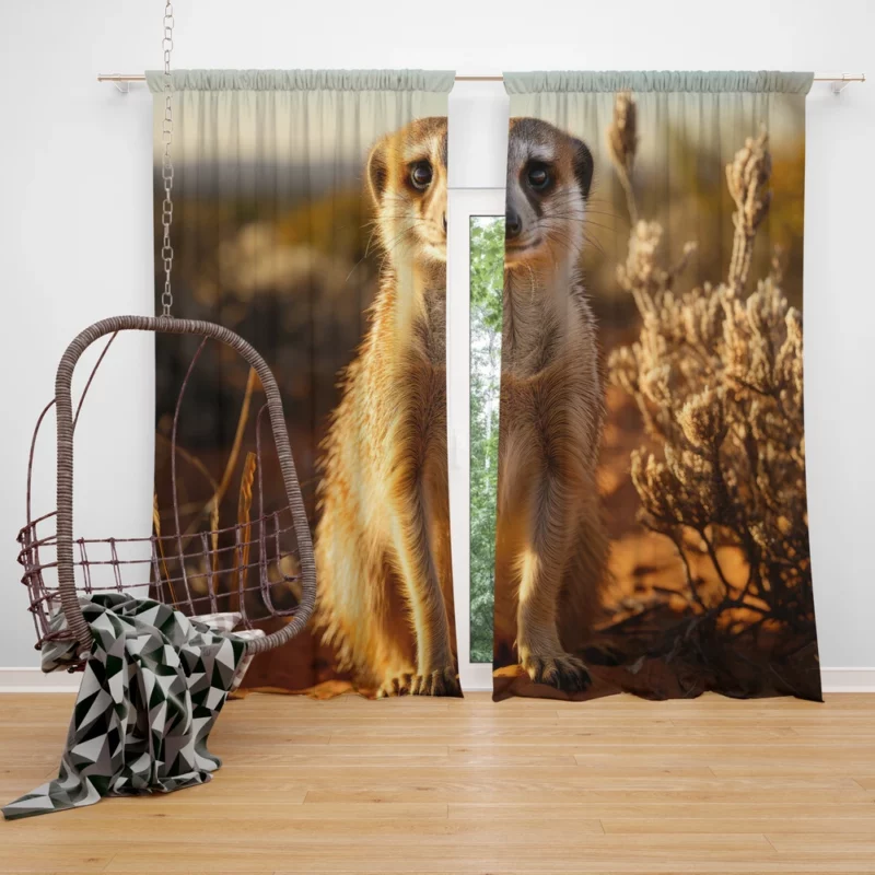 Alert Meerkat in the Grassland Window Curtain