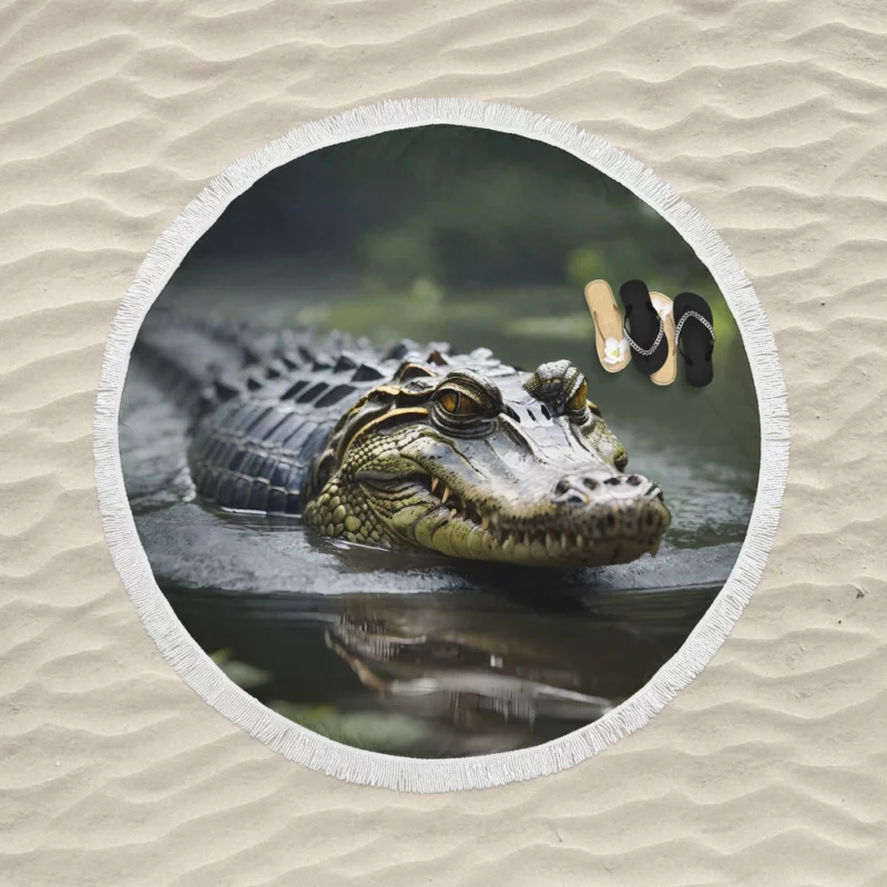 Alligator in Murky Water Round Beach Towel