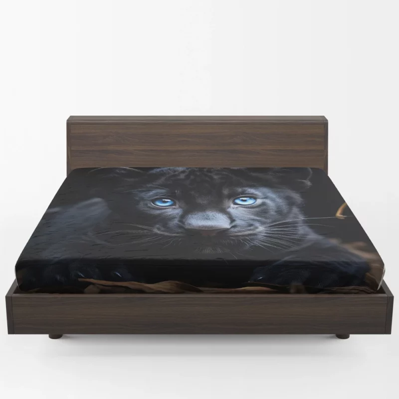 Baby Black Panther Cub Portrait Fitted Sheet 1