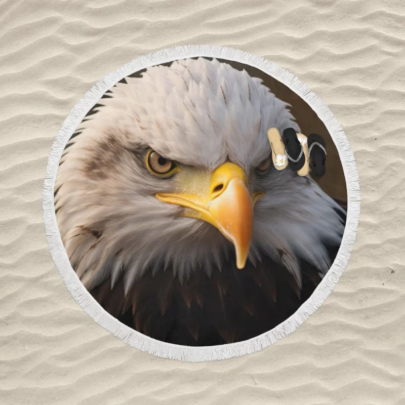 Bald Eagle Portrait Round Beach Towel