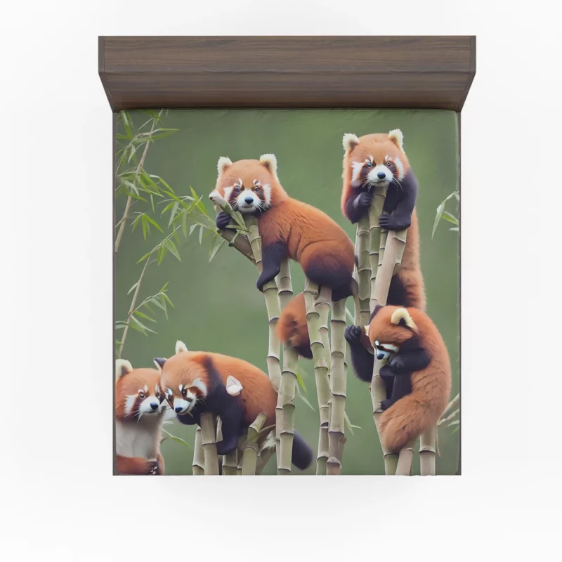 Bamboo Sharing Happy Red Panda Pair Fitted Sheet