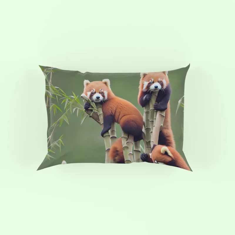 Bamboo Sharing Happy Red Panda Pair Pillow Case