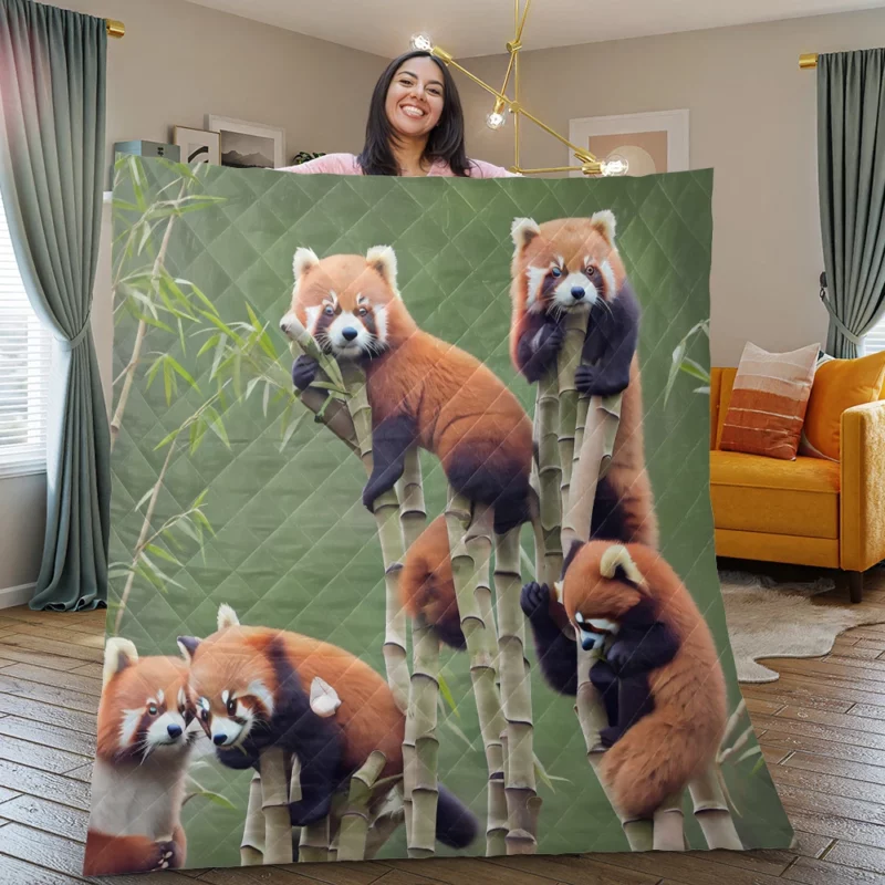 Bamboo Sharing Happy Red Panda Pair Quilt Blanket