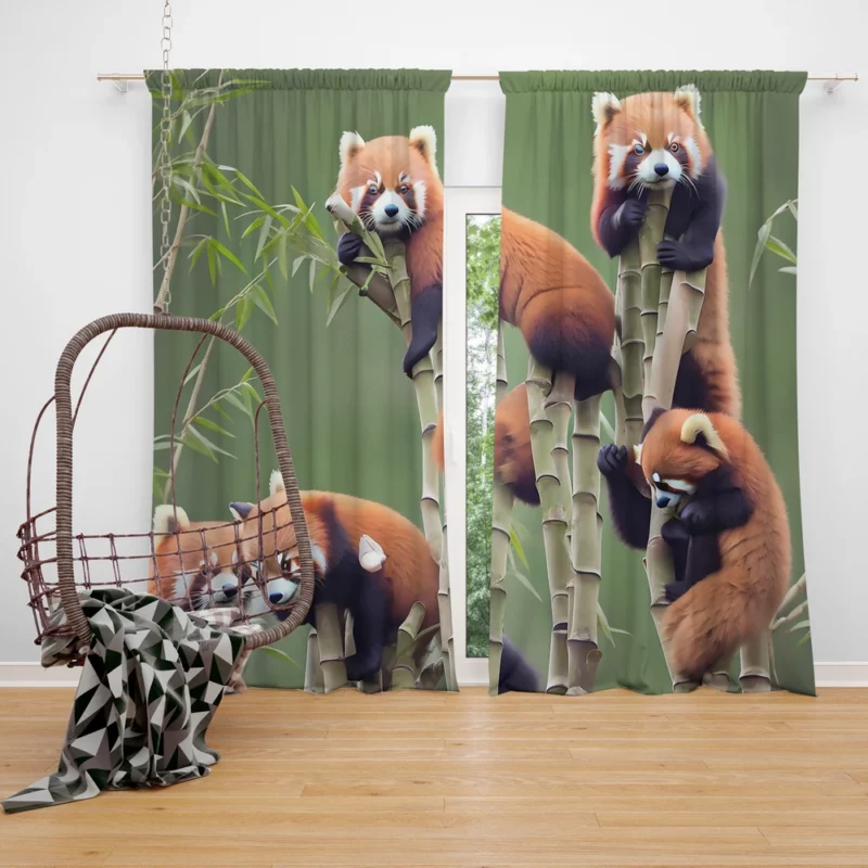 Bamboo Sharing Happy Red Panda Pair Window Curtain