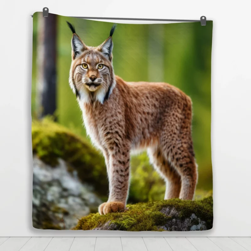 Beautiful Bobcat Artwork Quilt Blanket 1