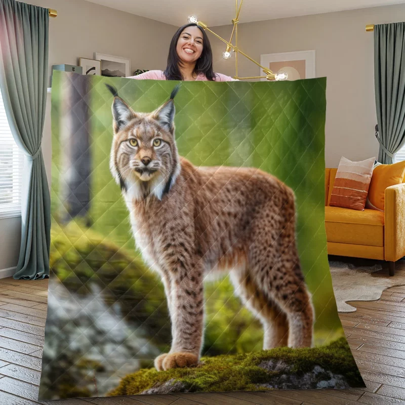 Beautiful Bobcat Artwork Quilt Blanket