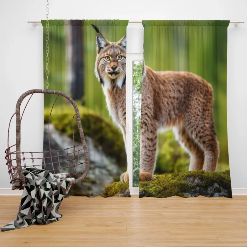 Beautiful Bobcat Artwork Window Curtain