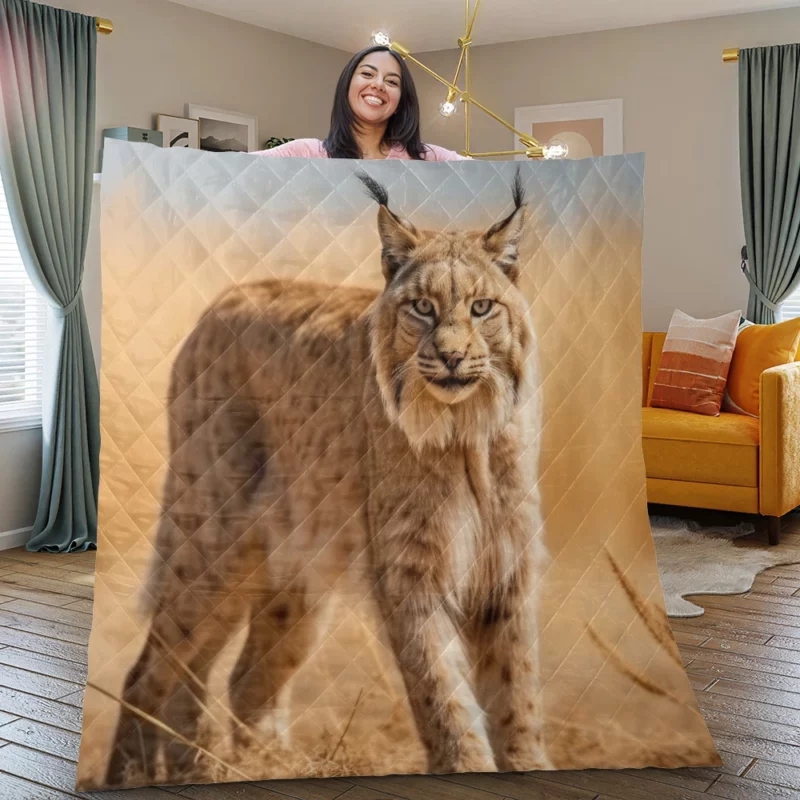 Beautiful Bobcat Printing Quilt Blanket