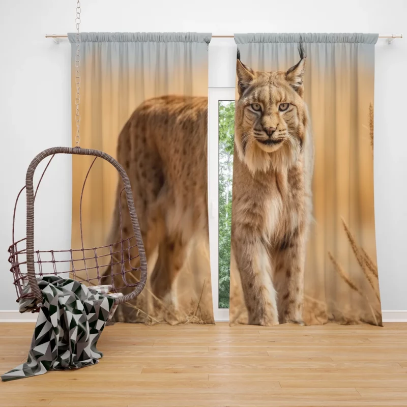 Beautiful Bobcat Printing Window Curtain