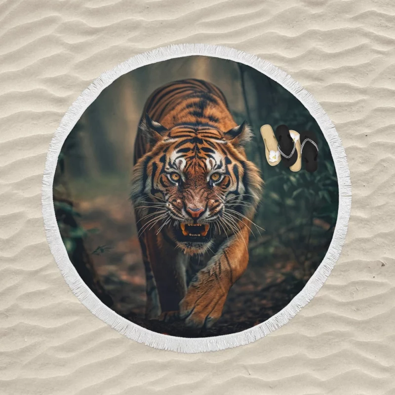 Bengal Tiger Walking Through Woods Round Beach Towel