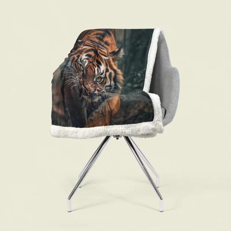 Bengal Tiger Walking Through Woods Sherpa Fleece Blanket 1