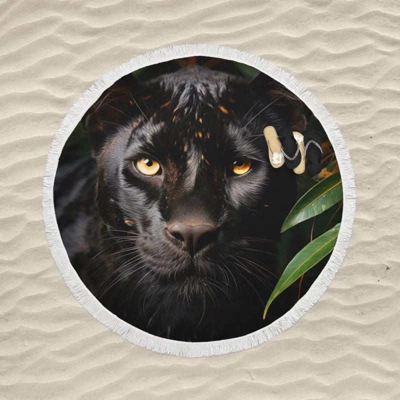 Black Panther National Geographic Photo Round Beach Towel