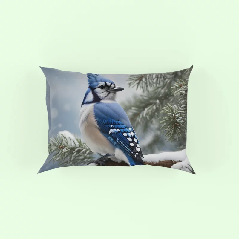 Blue Jay on Snowy Pine Branch Pillow Case