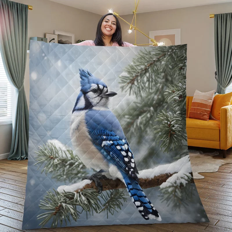 Blue Jay on Snowy Pine Branch Quilt Blanket