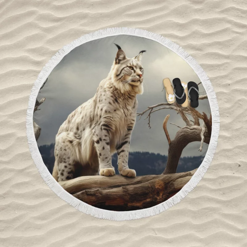 Bobcat Nature Photography Round Beach Towel