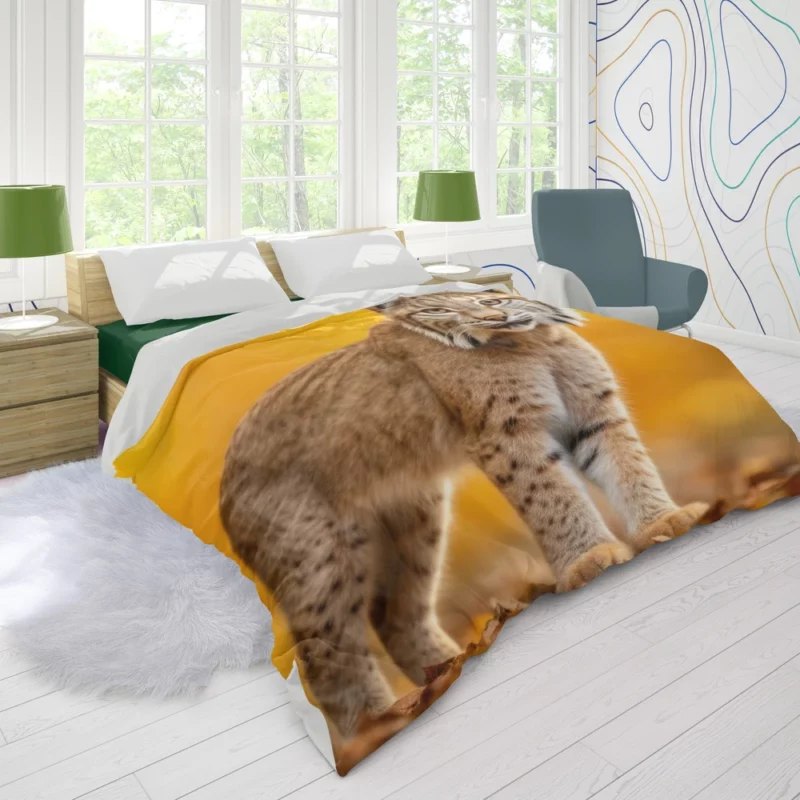 Bobcat in Autumn Season Duvet Cover