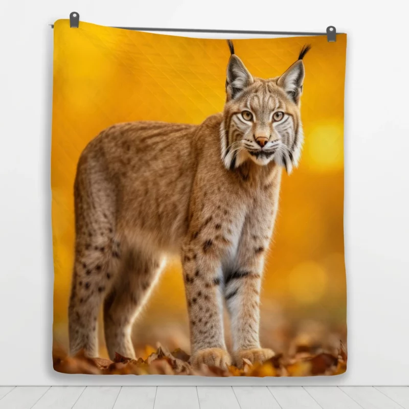 Bobcat in Autumn Season Quilt Blanket 1