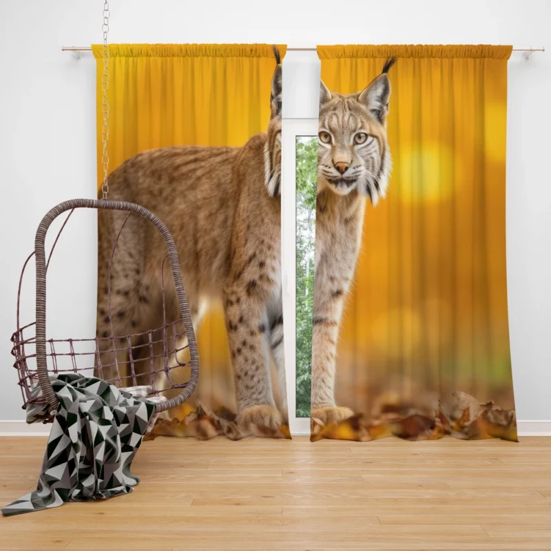 Bobcat in Autumn Season Window Curtain