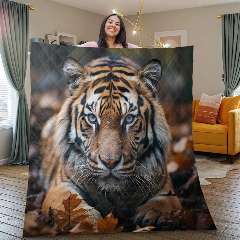 Celebrating the Majesty of Bengal Tigers Quilt Blanket