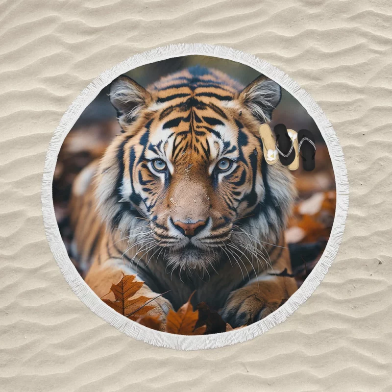 Celebrating the Majesty of Bengal Tigers Round Beach Towel