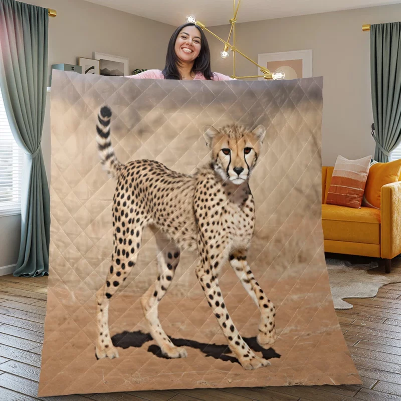 Cheetah Running Artwork Quilt Blanket