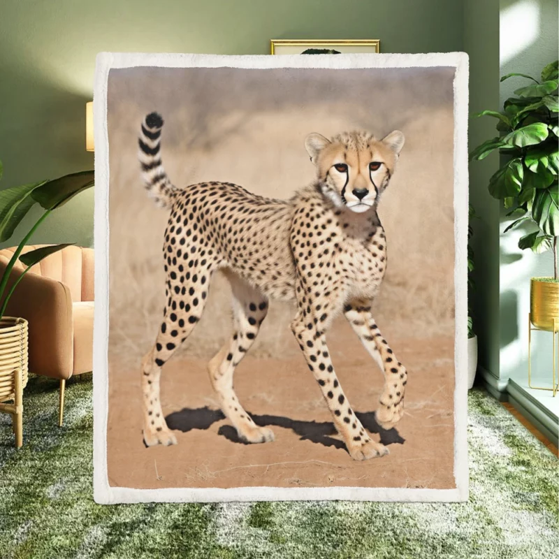 Cheetah Running Artwork Sherpa Fleece Blanket