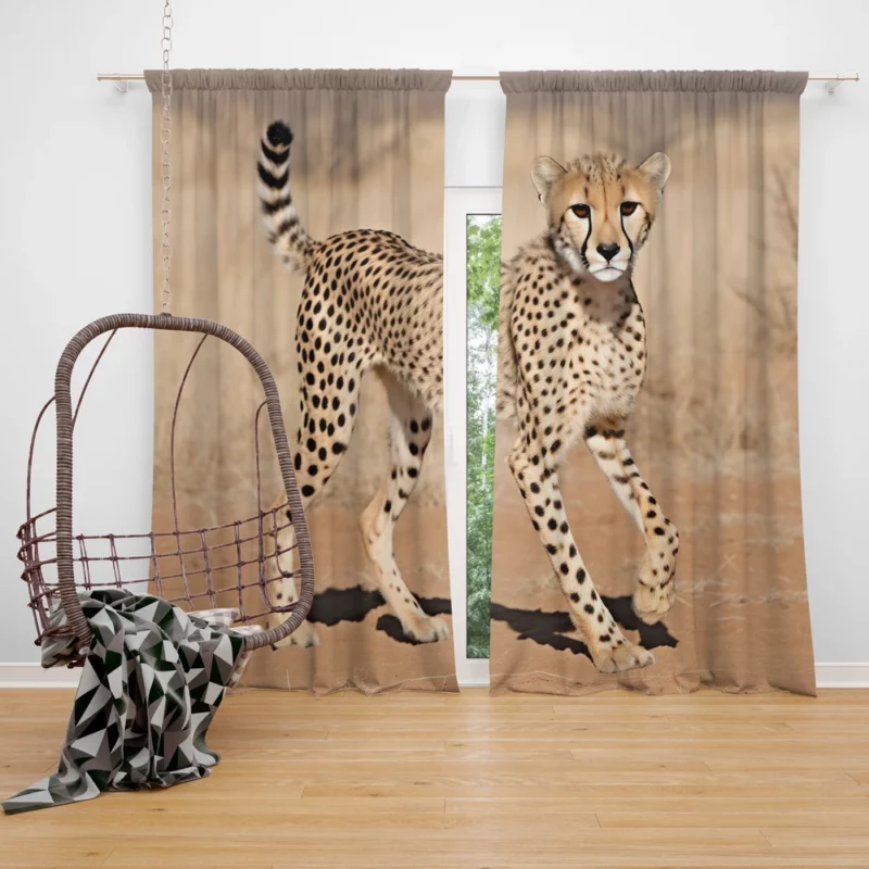 Cheetah Running Artwork Window Curtain