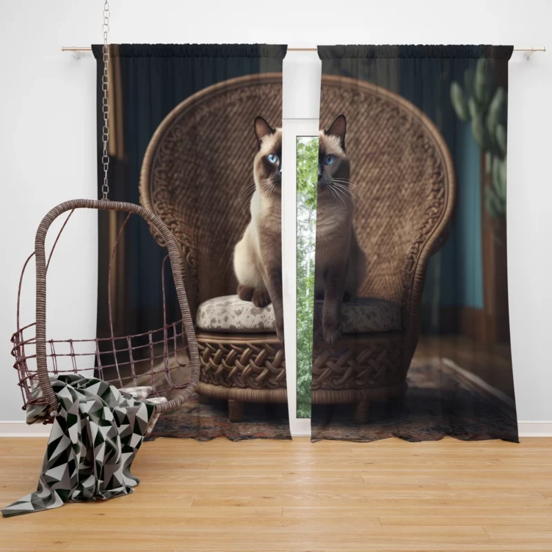 Chubby Siamese Cat Lounging Window Curtain