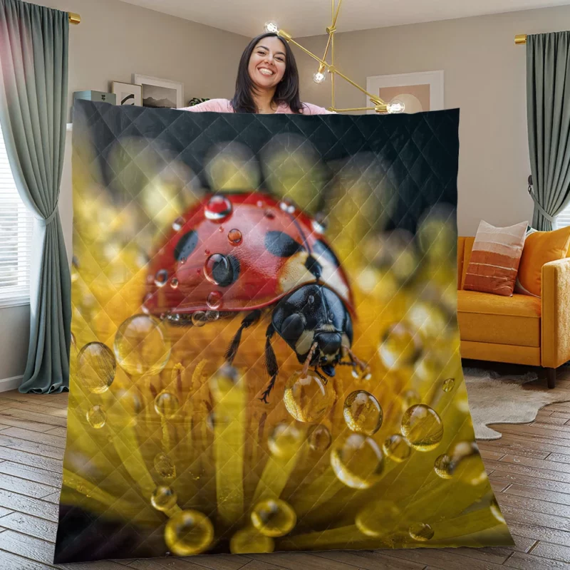 Close Up of Ladybug on Flower Quilt Blanket