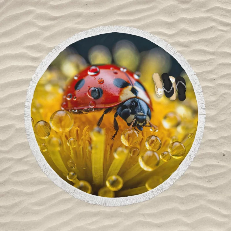 Close Up of Ladybug on Flower Round Beach Towel