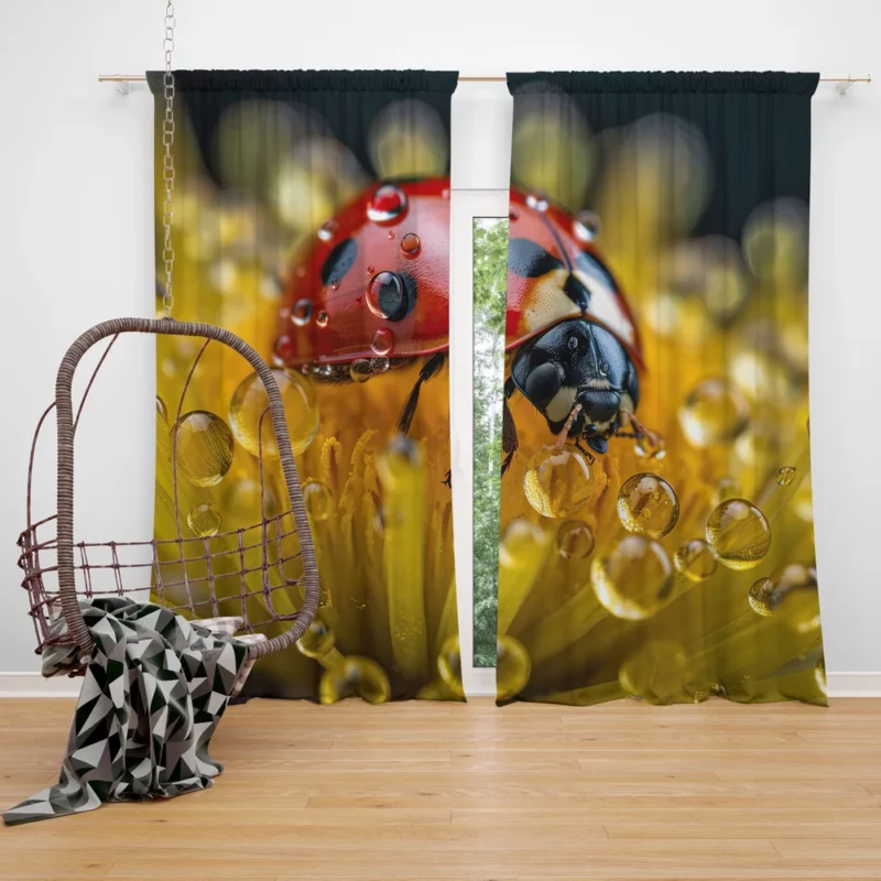 Close Up of Ladybug on Flower Window Curtain