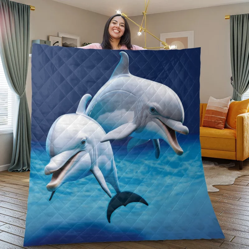 Cute 3D Dolphin Character Quilt Blanket