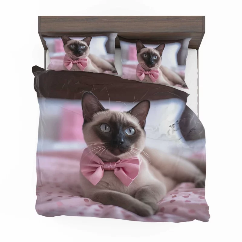 Cute Bow-Wearing Siamese Kitten Bedding Set 2