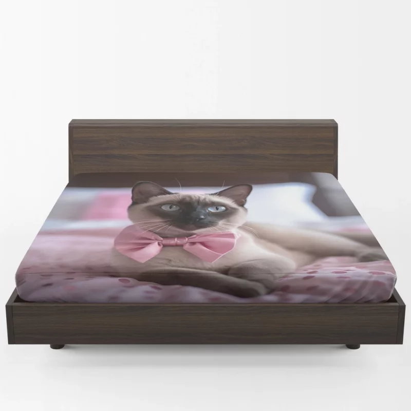 Cute Bow-Wearing Siamese Kitten Fitted Sheet 1