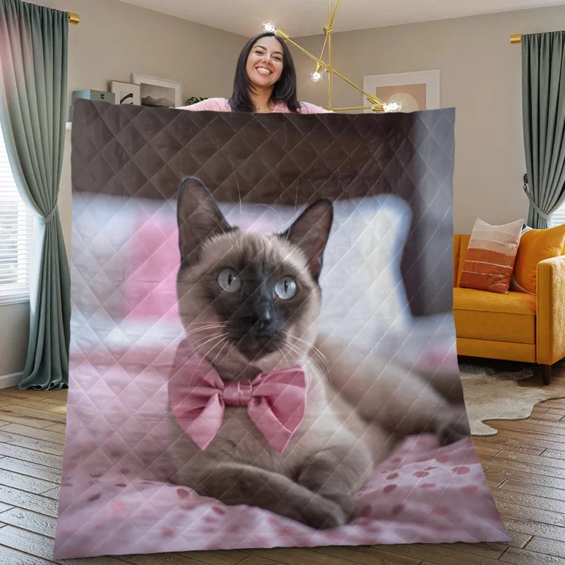 Cute Bow-Wearing Siamese Kitten Quilt Blanket