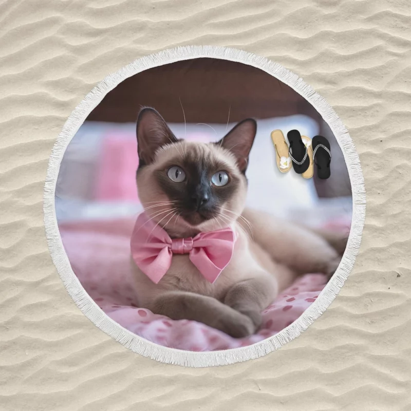 Cute Bow-Wearing Siamese Kitten Round Beach Towel