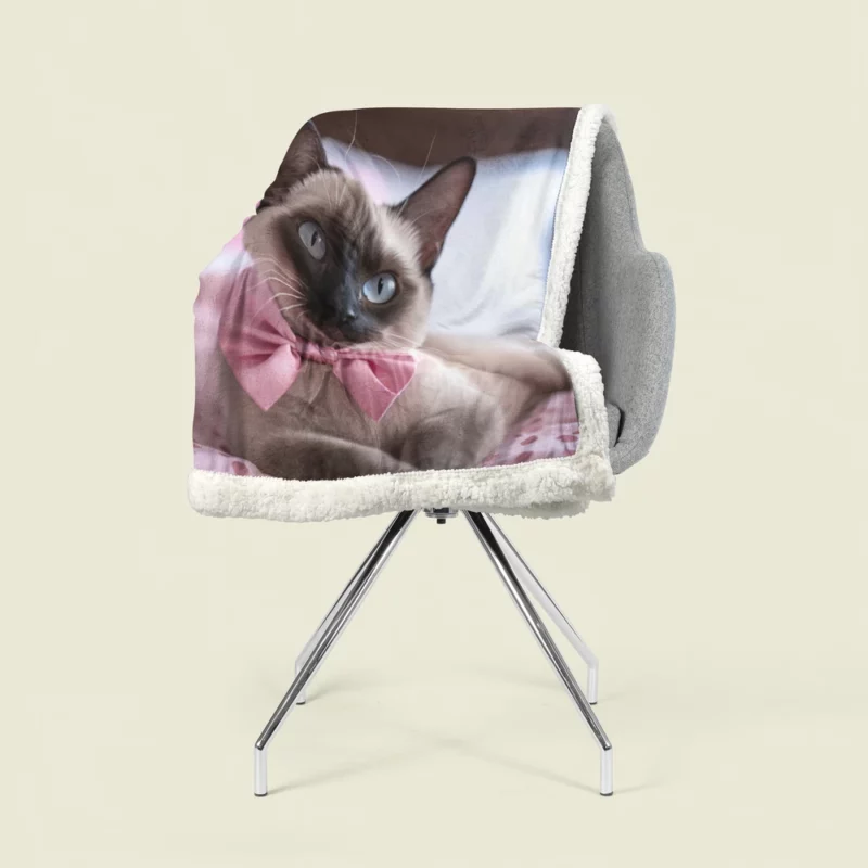 Cute Bow-Wearing Siamese Kitten Sherpa Fleece Blanket 1