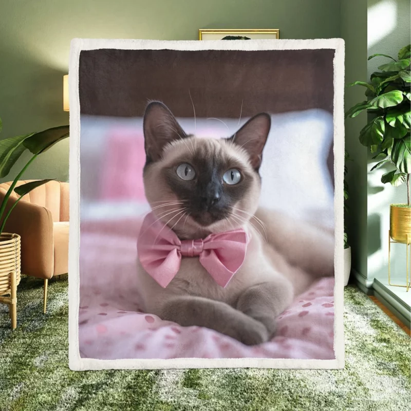 Cute Bow-Wearing Siamese Kitten Sherpa Fleece Blanket