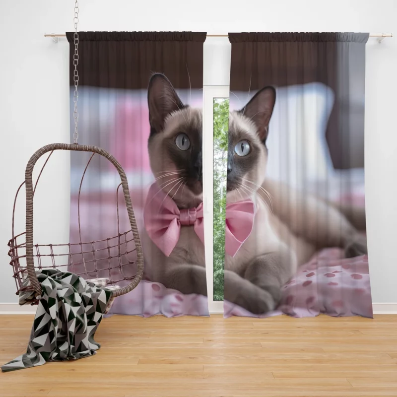 Cute Bow-Wearing Siamese Kitten Window Curtain