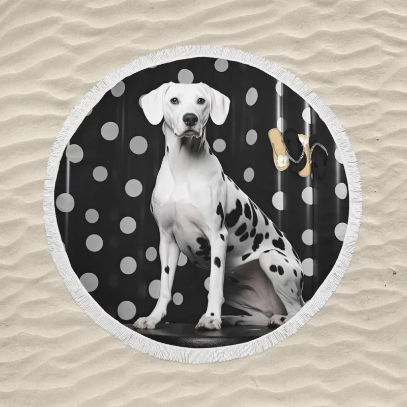 Dalmatian Dog Jumping Round Beach Towel