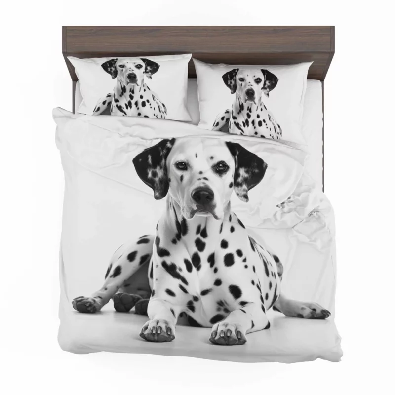 Dalmatian Dog Portrait Bedding Set 2