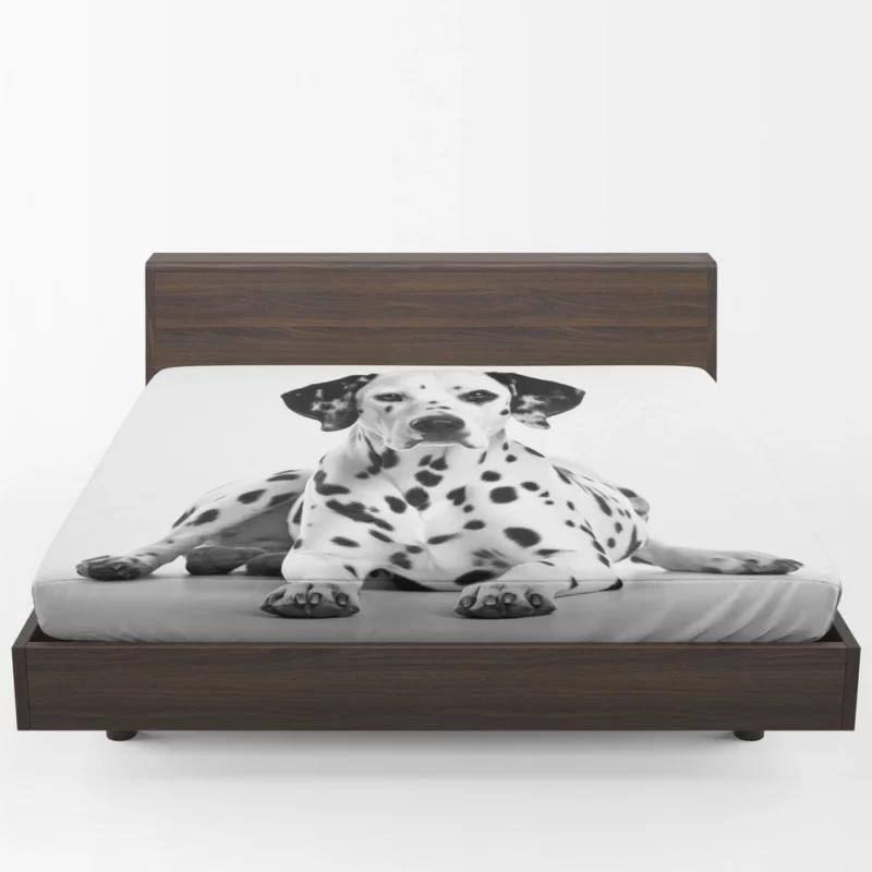 Dalmatian Dog Portrait Fitted Sheet 1